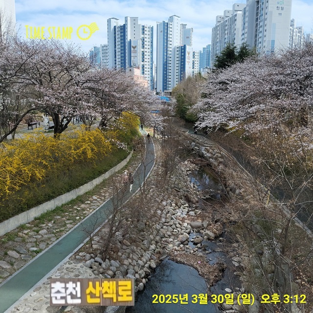 표지